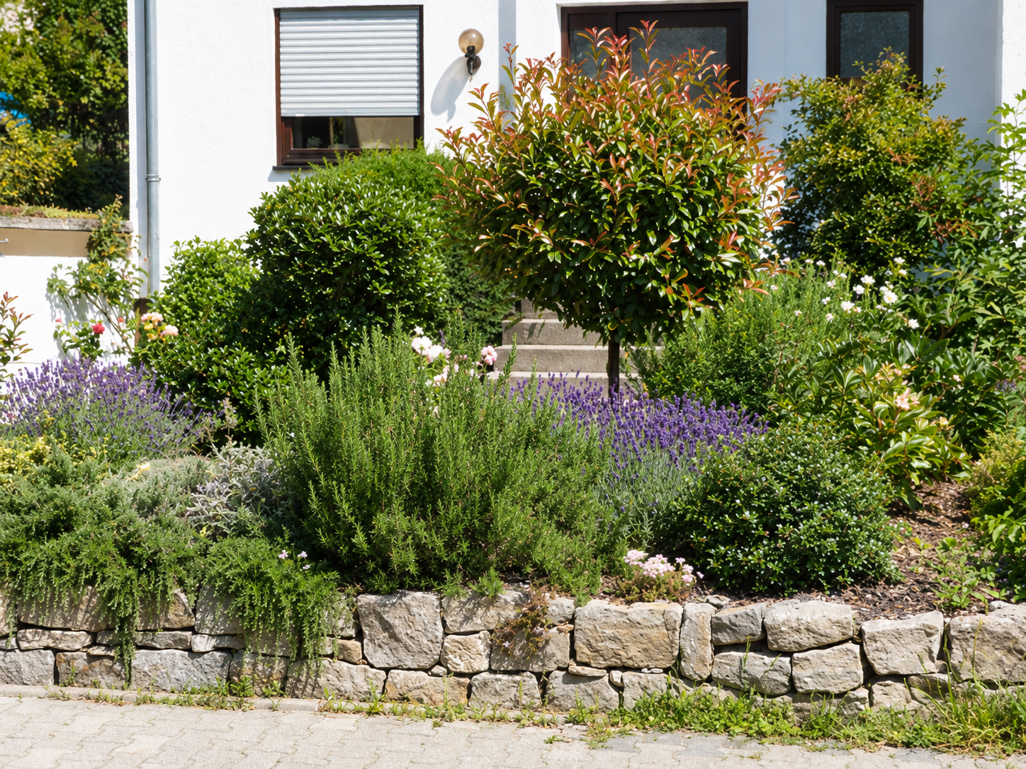 Vorgarten mit Lavendel, Rosmarin, einem Kugelbaum und einer niedrigen Natursteinmauer vor einem weißen Haus